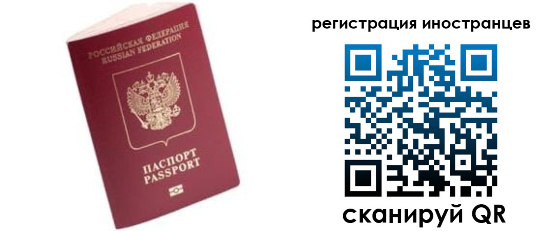 прописка гарантия в Тольятти